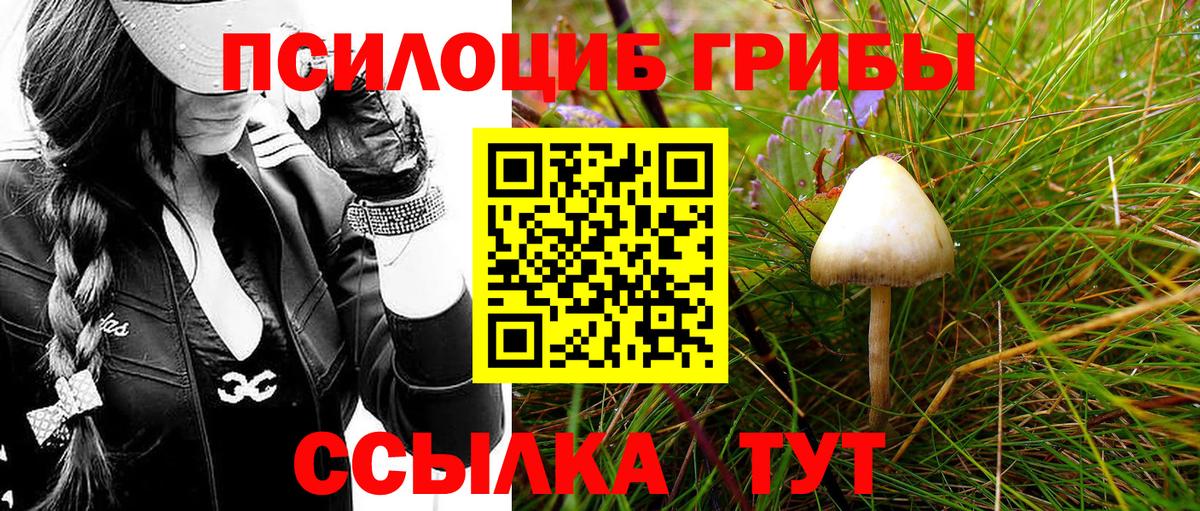 Псилоцибиновые грибы Magic Shrooms  Псилоцибиновые грибы GOLDEN TEACHER  Азов  Вход с VPN 